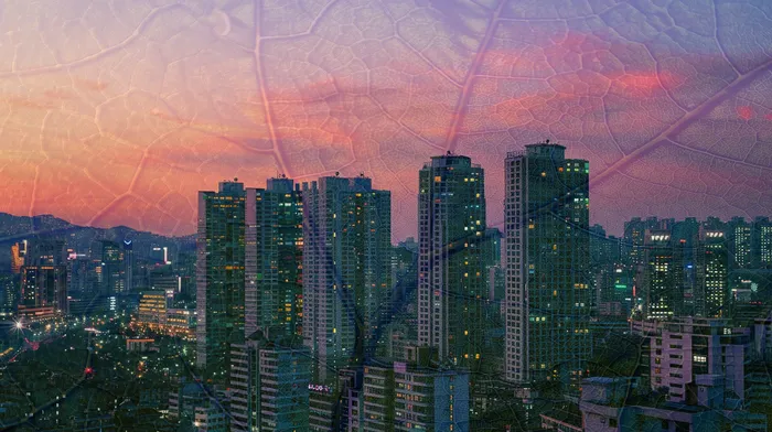 자영업자개인회생